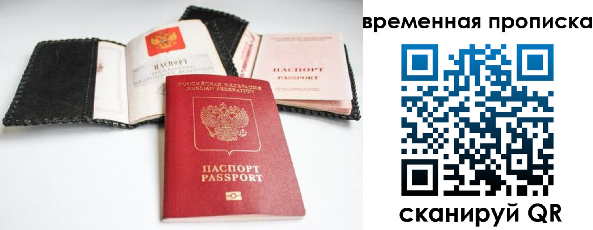 прописка для школы в Кировске